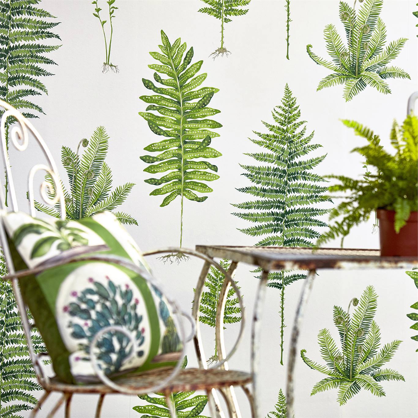 Обои Sanderson The Glasshouse Fernery 216633 фото в интерьере